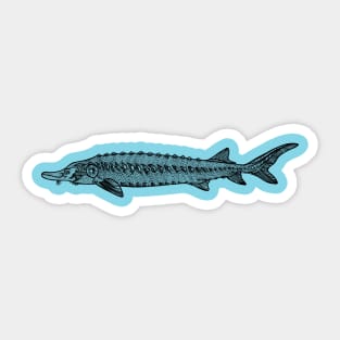 Common Sturgeon fish drawing on light colors Sticker